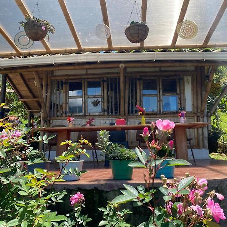Ecohotel Soplo Del Tambo Cocorná Dış mekan fotoğraf