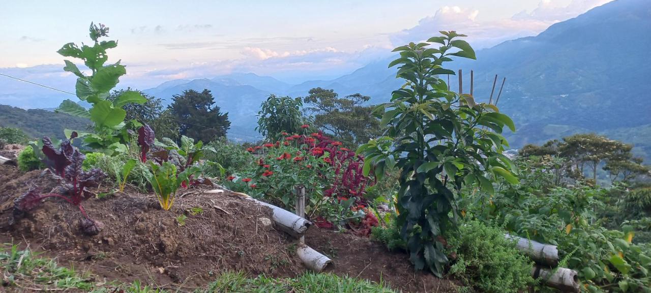 Ecohotel Soplo Del Tambo Cocorná Dış mekan fotoğraf