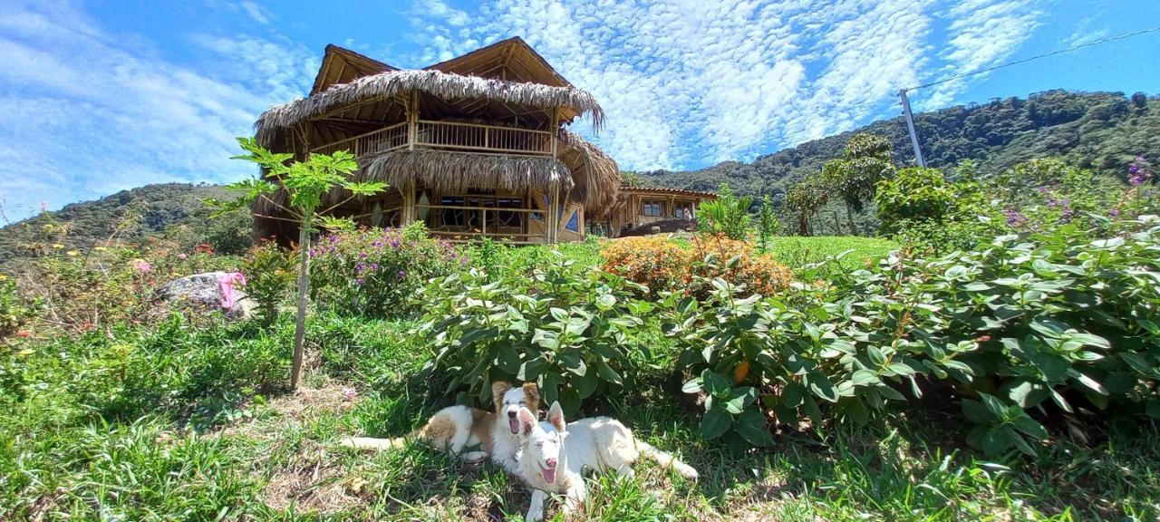Ecohotel Soplo Del Tambo Cocorná Dış mekan fotoğraf