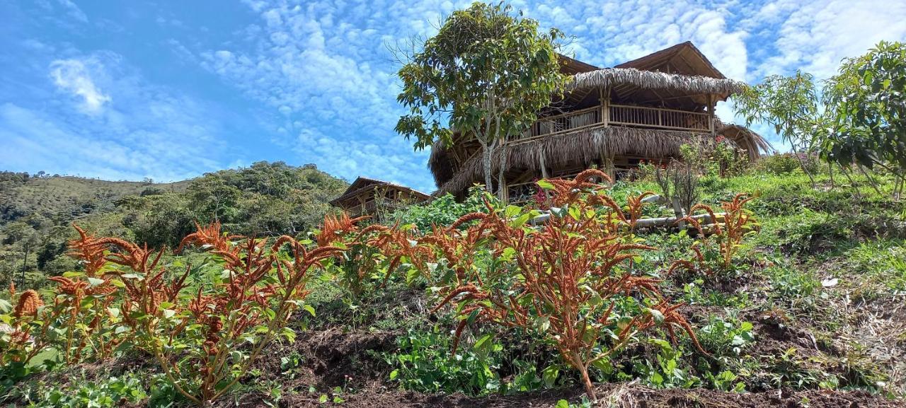 Ecohotel Soplo Del Tambo Cocorná Dış mekan fotoğraf