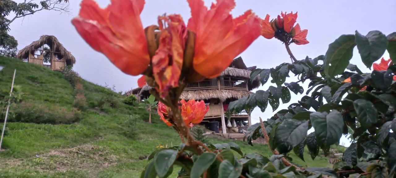 Ecohotel Soplo Del Tambo Cocorná Dış mekan fotoğraf