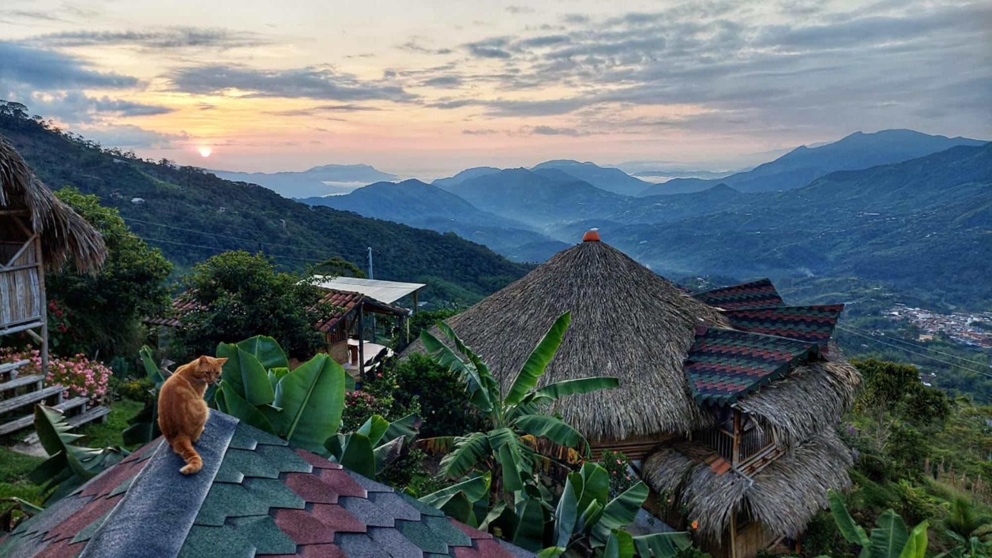 Ecohotel Soplo Del Tambo Cocorná Dış mekan fotoğraf